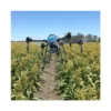 Original Agras Agricultural Drone Sprayer